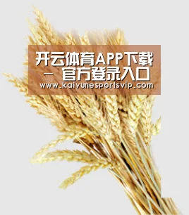 开云体育APP下载 - 官方登录入口