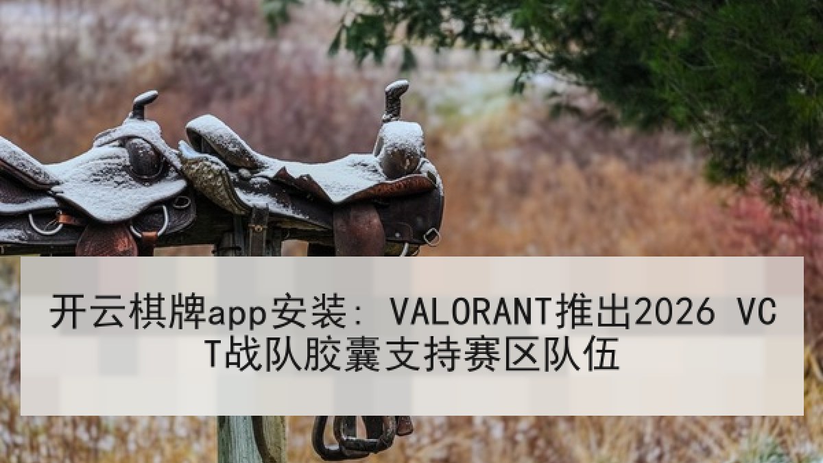 开云棋牌app安装: VALORANT推出2026 VCT战队胶囊支持赛区队伍