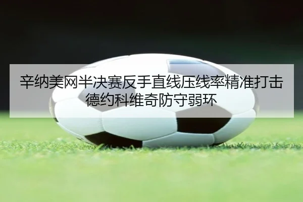辛纳美网半决赛反手直线压线率精准打击德约科维奇防守弱环