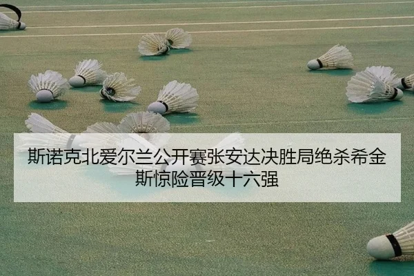 si-nuo-ke-bei-ai-er-lan-gong-kai-sai-zhang-an-da-jue-sheng-ju-jue-sha-xi-jin-si-jing-xian-jin-ji-shi-liu-qiang-2-936.jpg