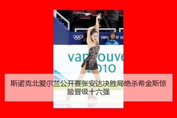si-nuo-ke-bei-ai-er-lan-gong-kai-sai-zhang-an-da-jue-sheng-ju-jue-sha-xi-jin-si-jing-xian-jin-ji-shi-liu-qiang-3-254.jpg