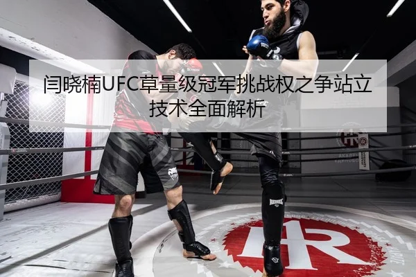 闫晓楠UFC草量级冠军挑战权之争站立技术全面解析
