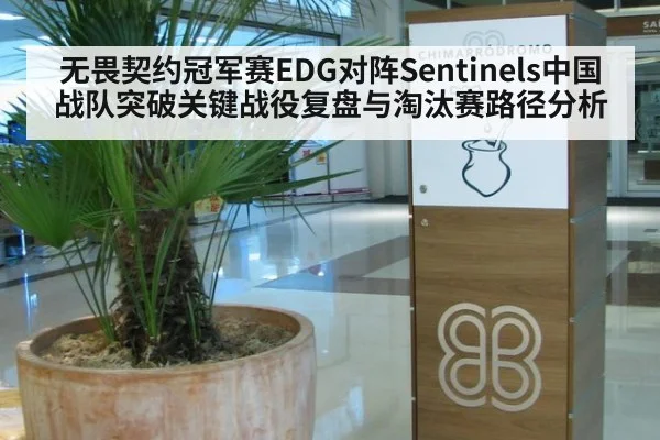 无畏契约冠军赛EDG对阵Sentinels中国战队突破关键战役复盘与淘汰赛路径分析