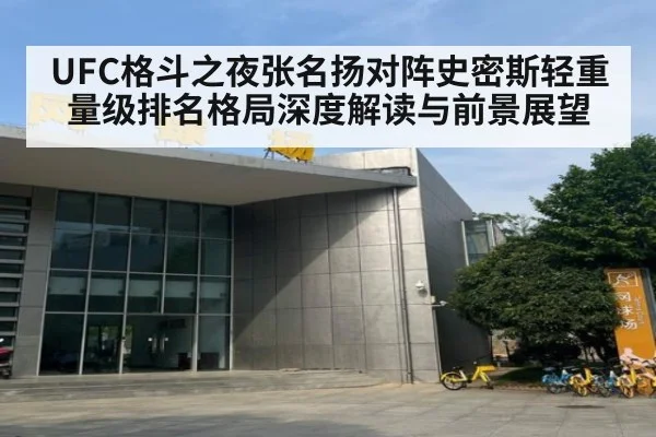 UFC格斗之夜张名扬对阵史密斯轻重量级排名格局深度解读与前景展望